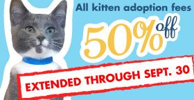 50% off dog, puppy, and kitten fees!